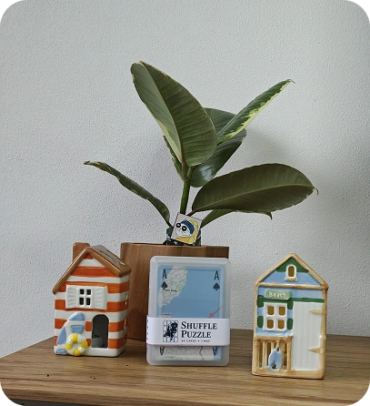 Shuffle Puzzle displayed between miniature Dutch houses below a houseplant